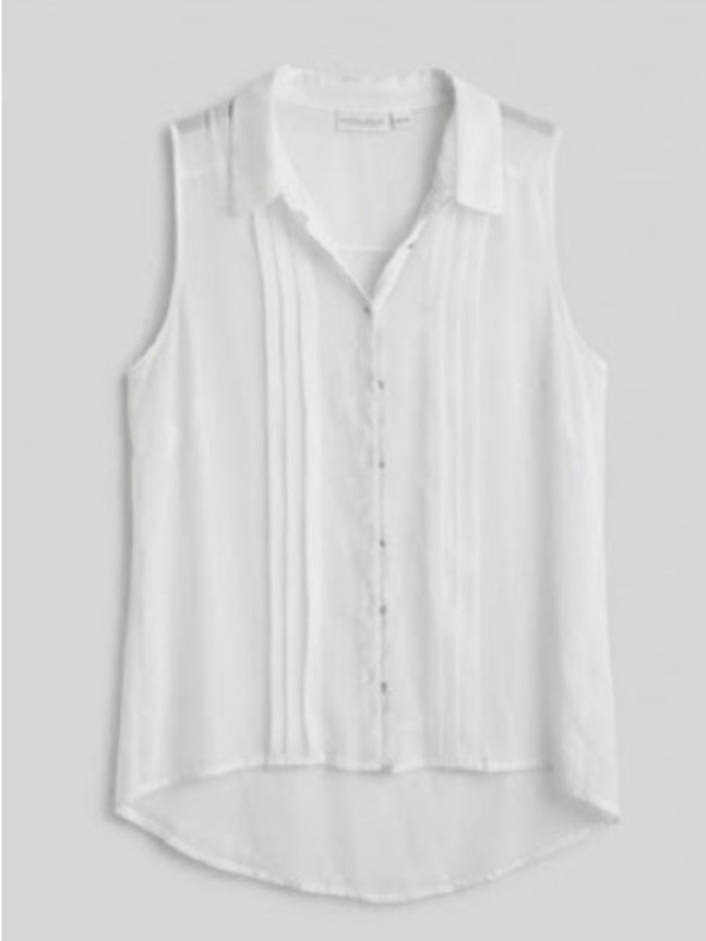 Sheer Blouse